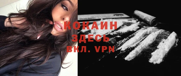 стаф Кущёвская