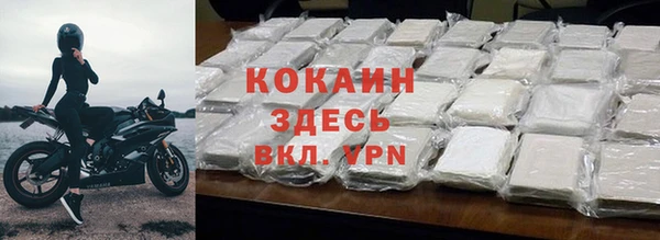 стаф Кущёвская