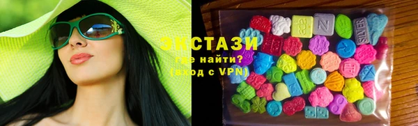 стаф Кущёвская