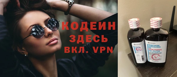 стаф Кущёвская