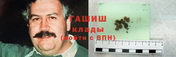 стаф Кущёвская