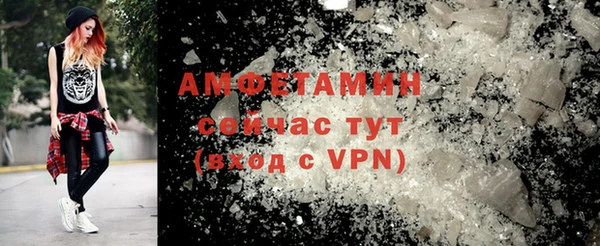 стаф Кущёвская