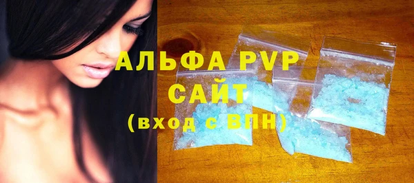 стаф Кущёвская