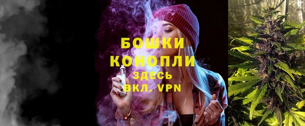 стаф Кущёвская