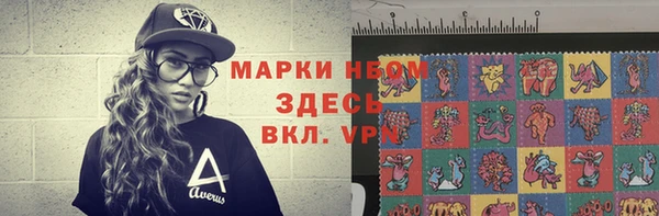 стаф Кущёвская