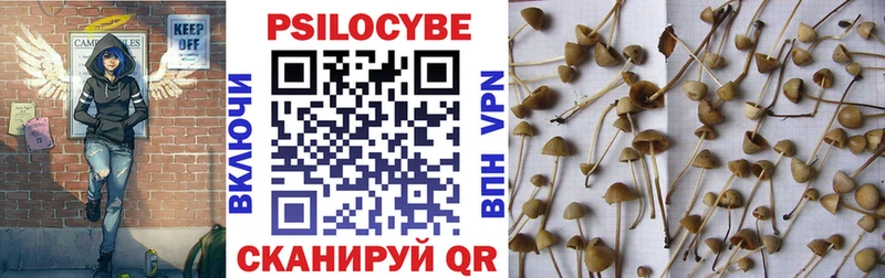Купить где  Ишимбай  Галлюциногенные грибы Magic Shrooms 